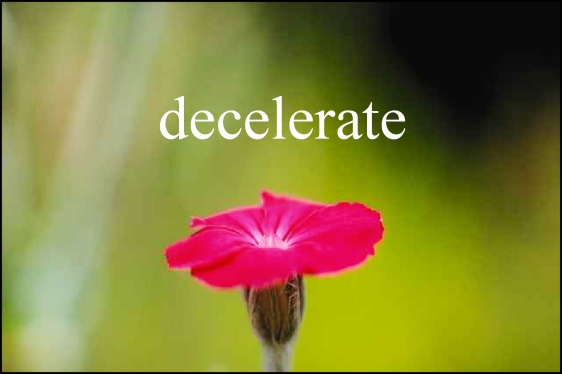 decelerate